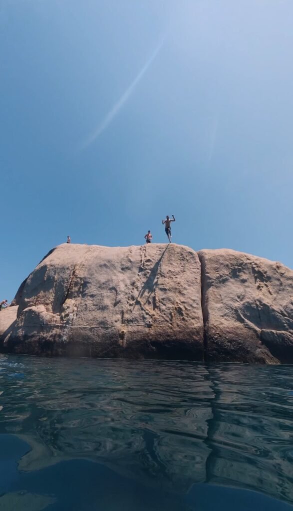 Scuba diving at Koh Tao coral reef with tropical fish | Wonderland Jungle Hostel