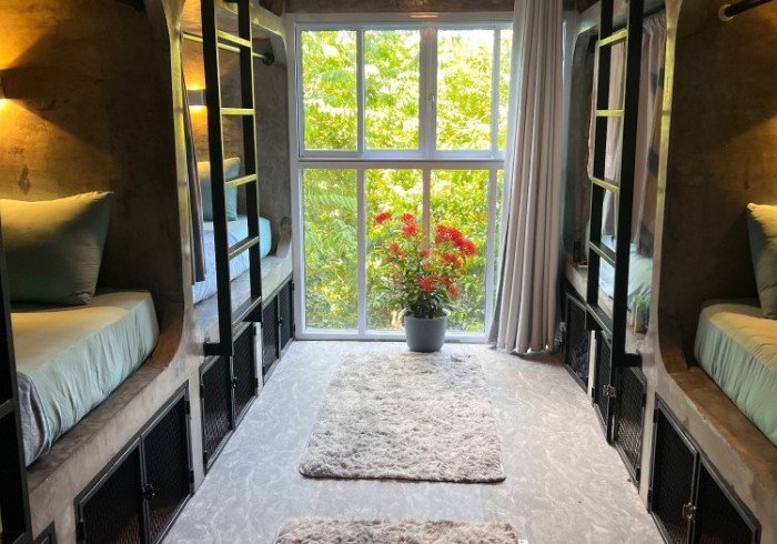 Chesher Cat 12-bed dorm at Wonderland Jungle Hostel Koh Tao