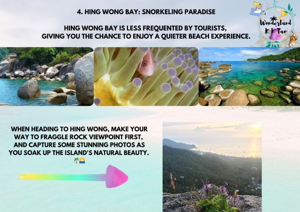 Hin Wong Bay rocky shoreline with clownfish and turquoise water Koh Tao | Wonderland Jungle Hostel