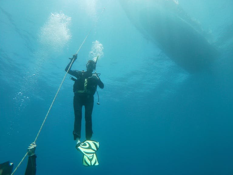 scuba diver, diving